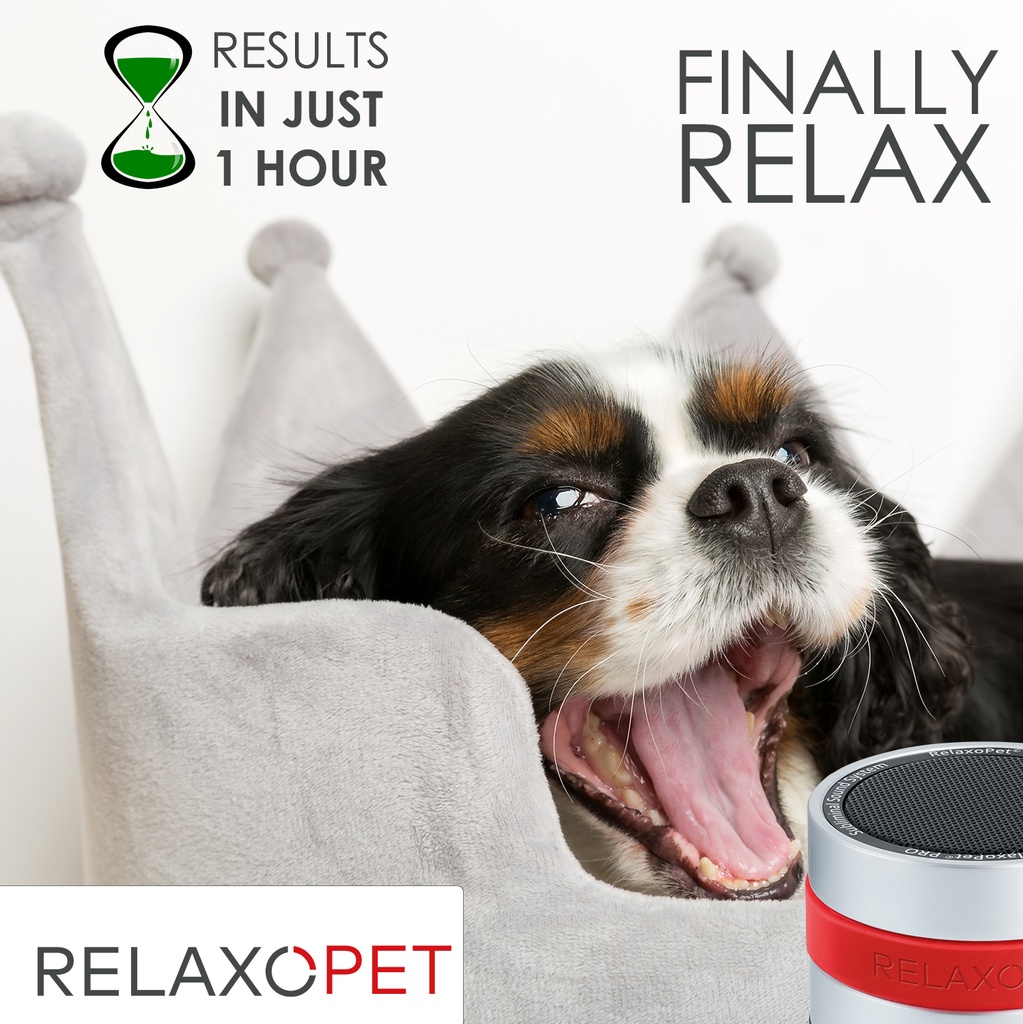 RelaxoPet PRO Dog