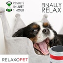RelaxoPet PRO Glam Dog