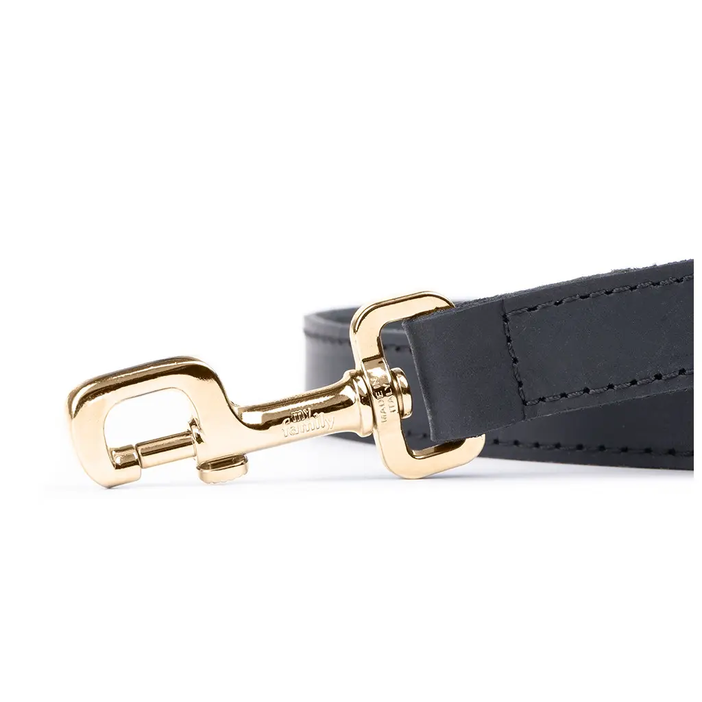 black-ginevra-leash-leather-with-gold-finishes (3).webp