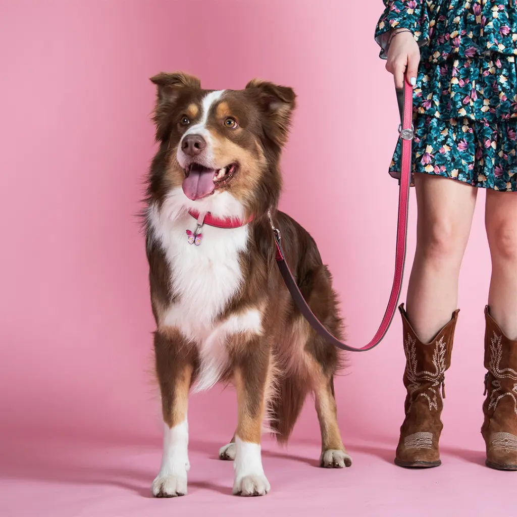 charms-butterfly-id-tag (2).webp