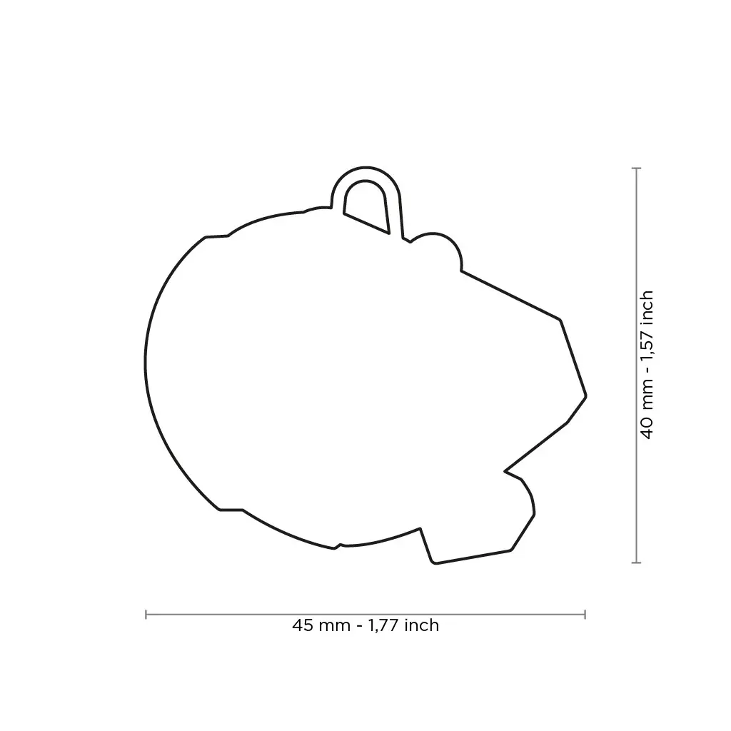 charms-star-wars-millennium-falcon-disney-id-tag copy.webp