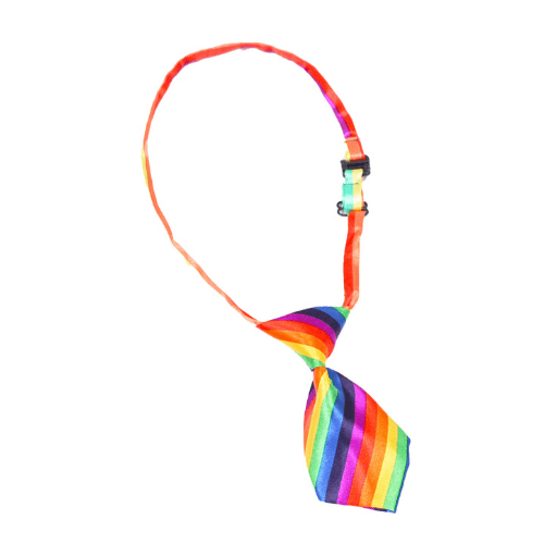 TIE PRIDE SMALL
