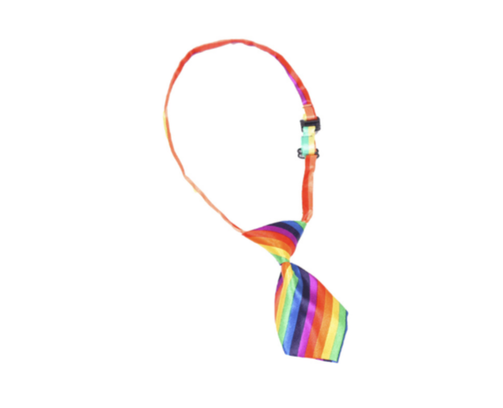 TIE PRIDE LARGE