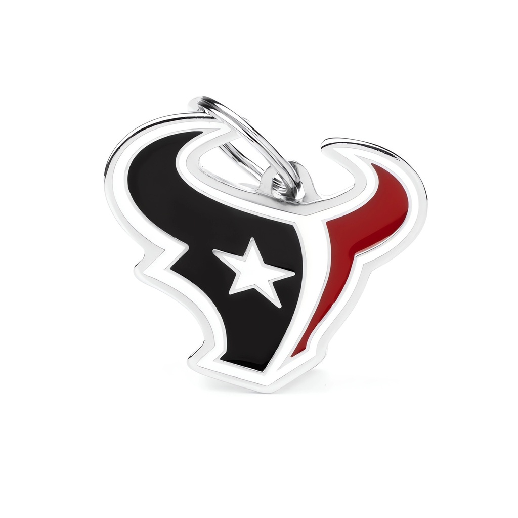 HOUSTON TEXANS