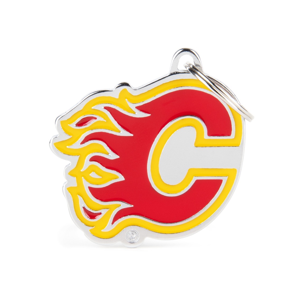 LES FLAMES DE CALGARY