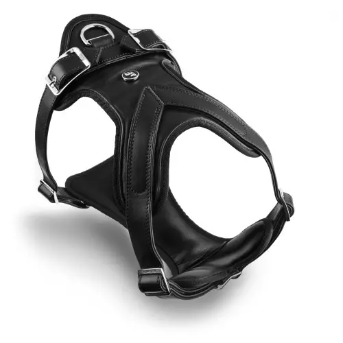 HERMITAGE H HARNESS
