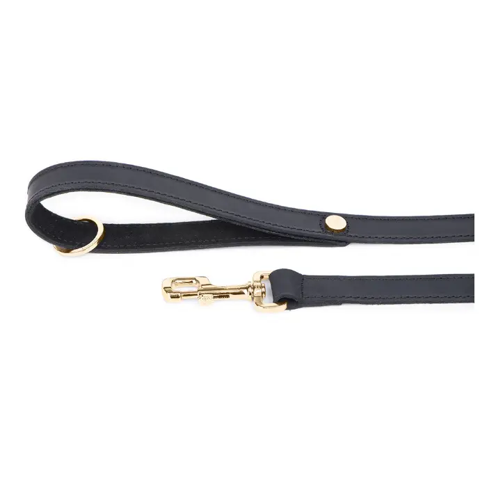 GINEVRA LEASH