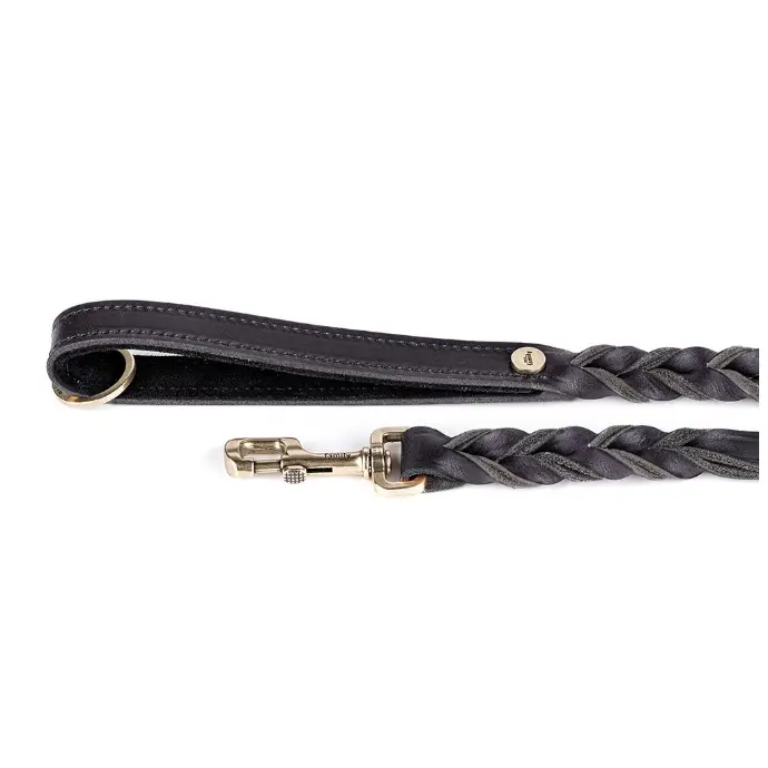 ASCOT LEASH