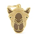 CAMEL