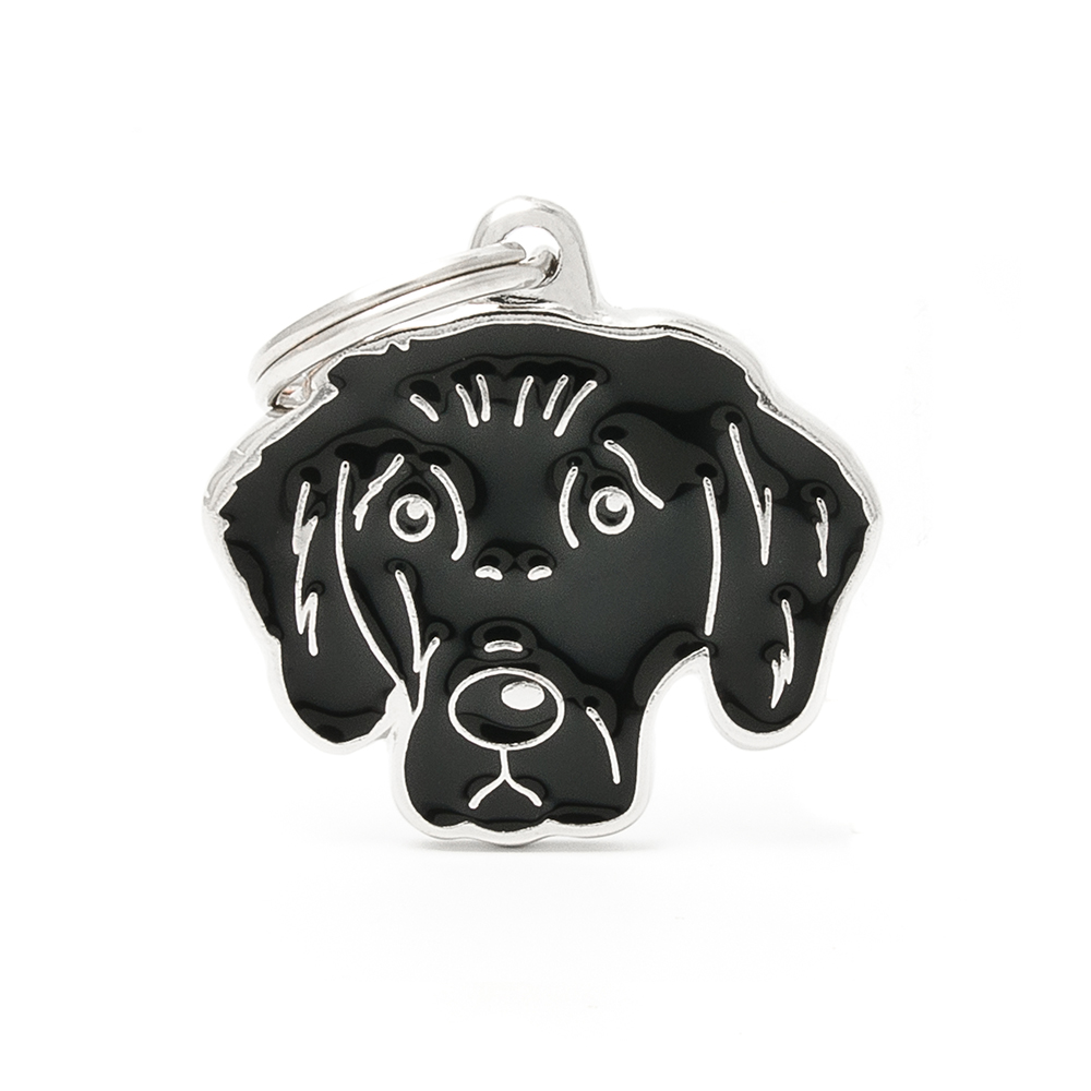 ​RETRIEVER À POIL COURT