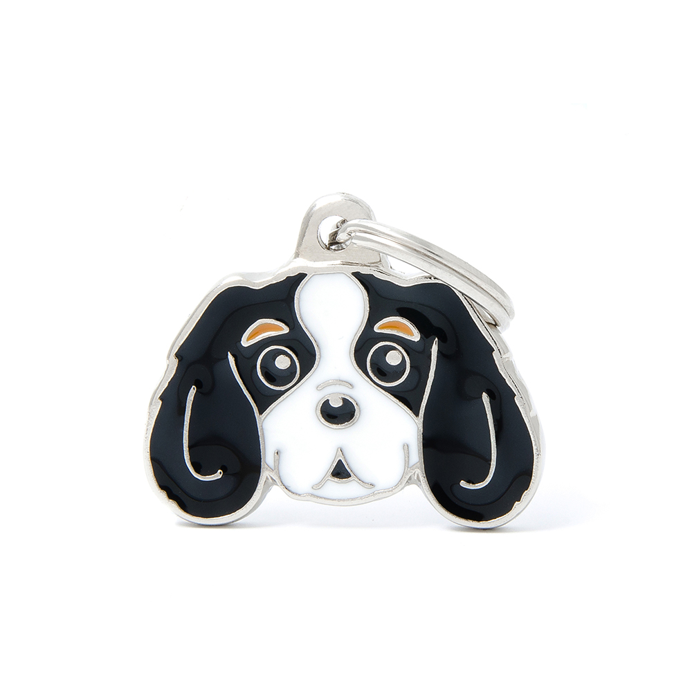 TRICOLOUR CAVALIER KING