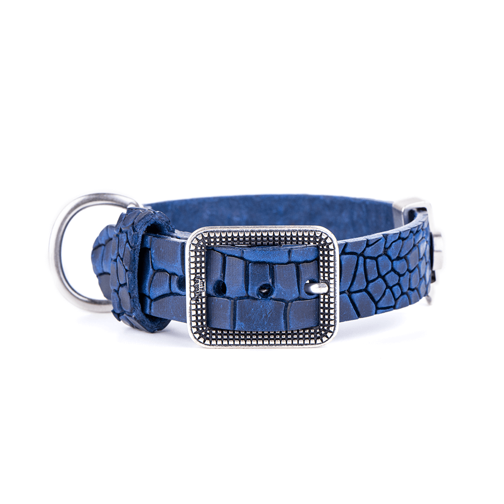 TUCSON COLLAR