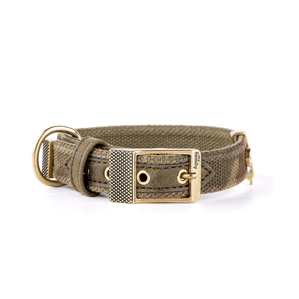 WEST POINT COLLAR