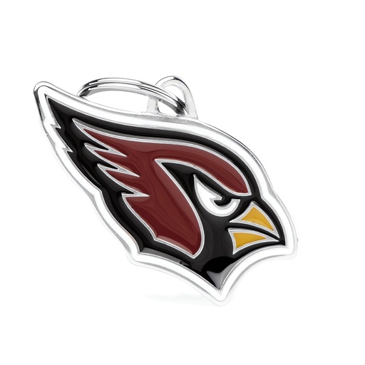 [NFLCARDINALS] ARIZONA CARDINALS