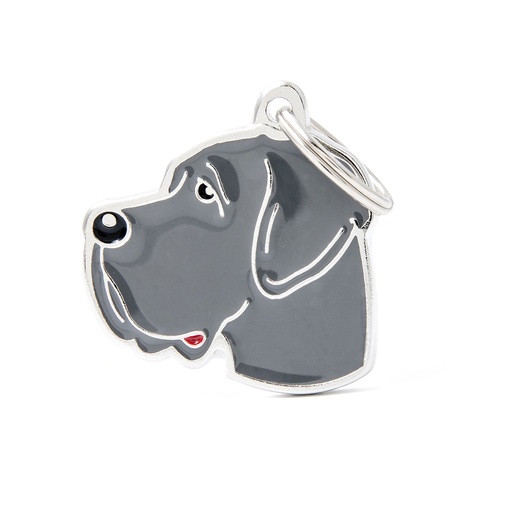 [MF01N] GRAND DANOIS BLEU