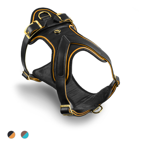 HERMITAGE H HARNESS