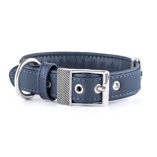 MyFamily Blue Bilbao Collar Big