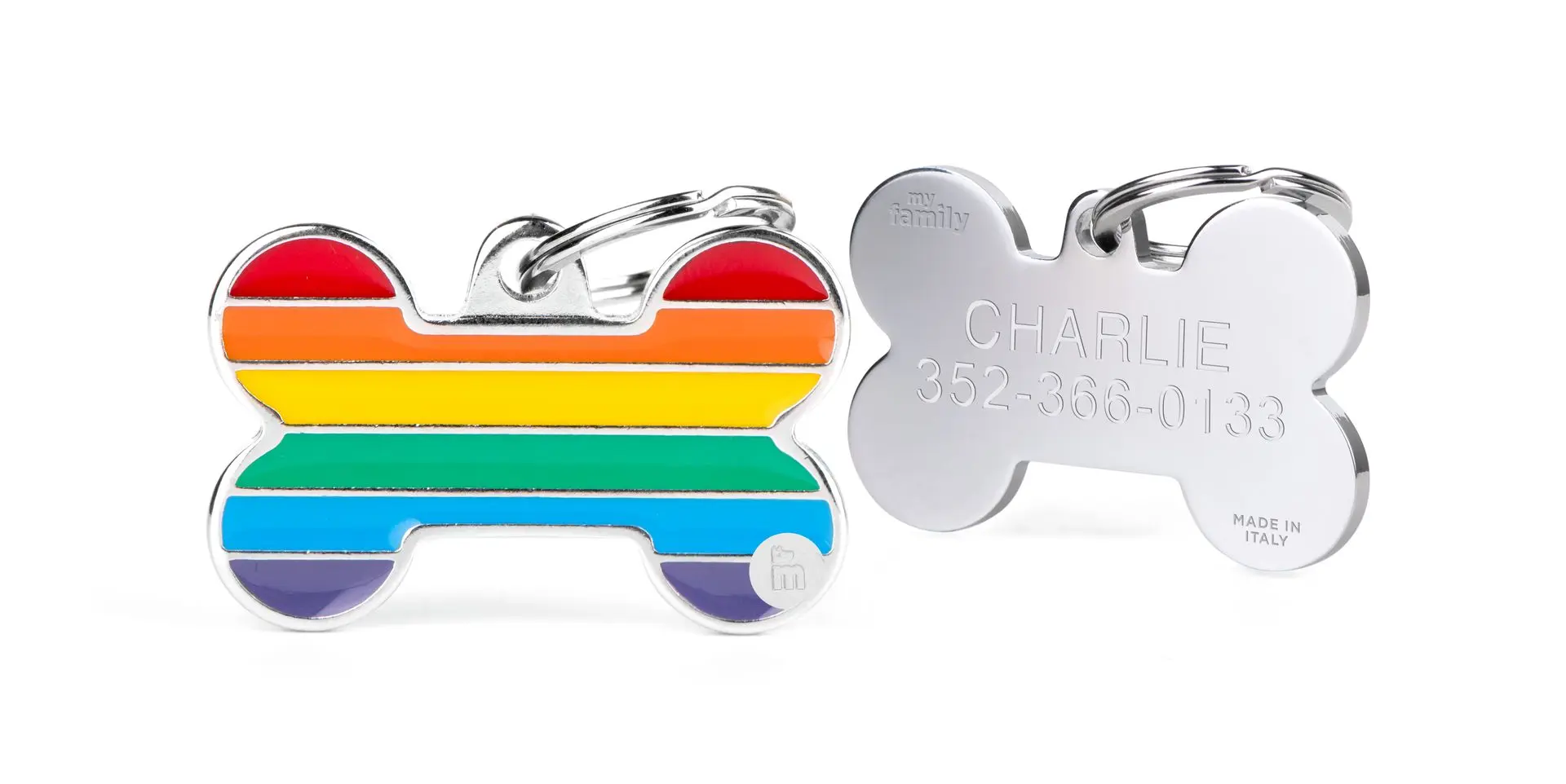 Rainbow Bone Pet ID Tag