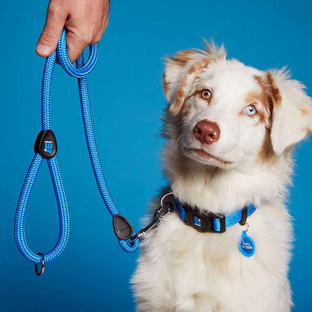 MEMOPET LEASH