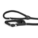 MEMOPET NO PULL LEASH