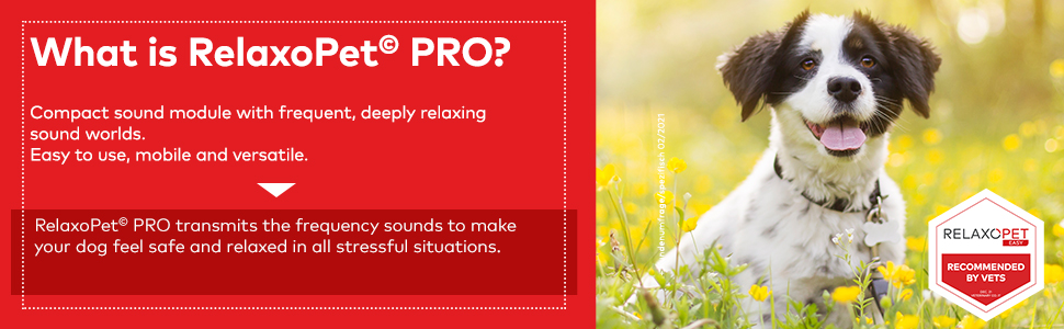 RelaxoPet PRO Dog