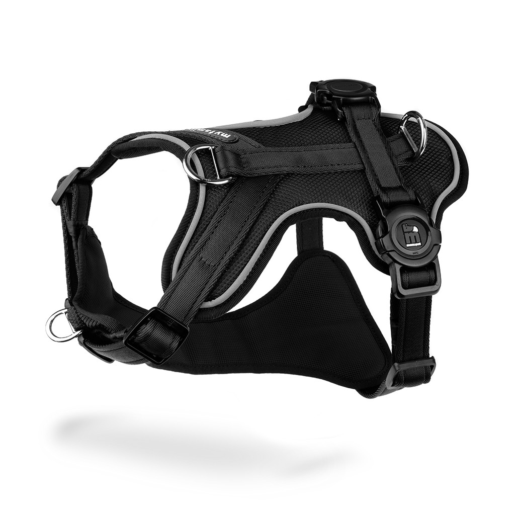 MEMOPET H-HARNESS