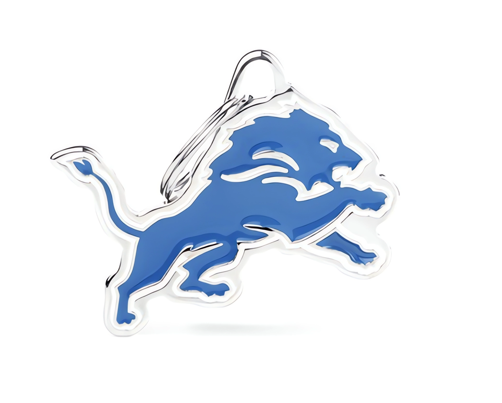 DETROIT LIONS