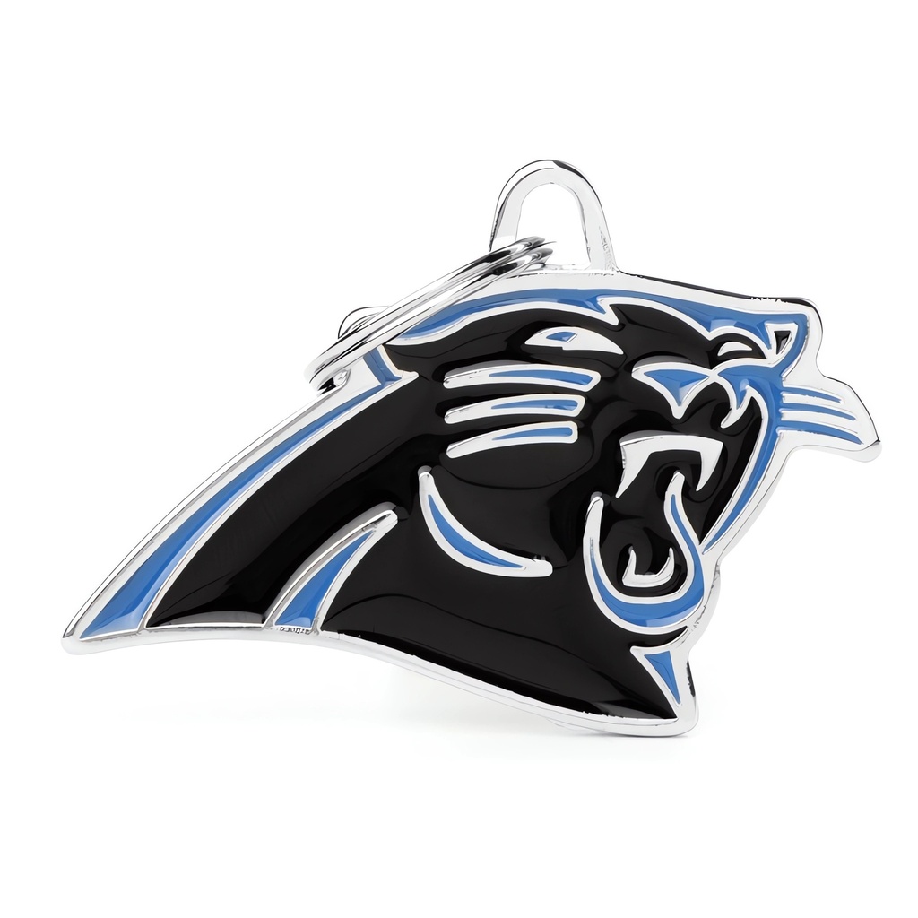 ​CAROLINA PANTHERS