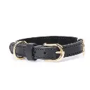 GINEVRA COLLAR