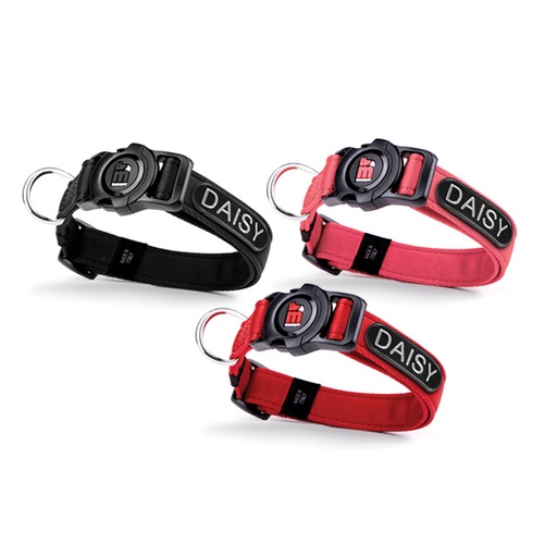 MEMOPET ID COLLAR KIT 1 - CORE