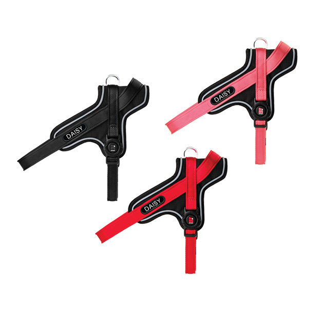 MEMOPET ID Y-HARNESS KIT 1 - CORE