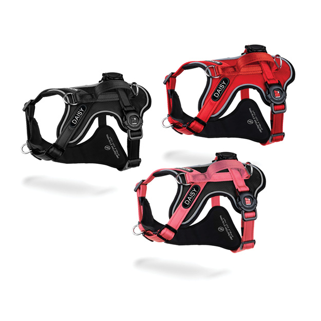 MEMOPET ID H-HARNESS KIT 1 - CORE