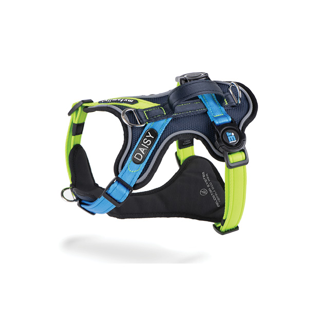 MEMOPET ID KIT HARNAIS H 3 - MULTI
