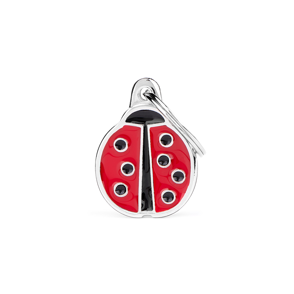 ​LADYBUG