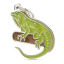 IGUANE