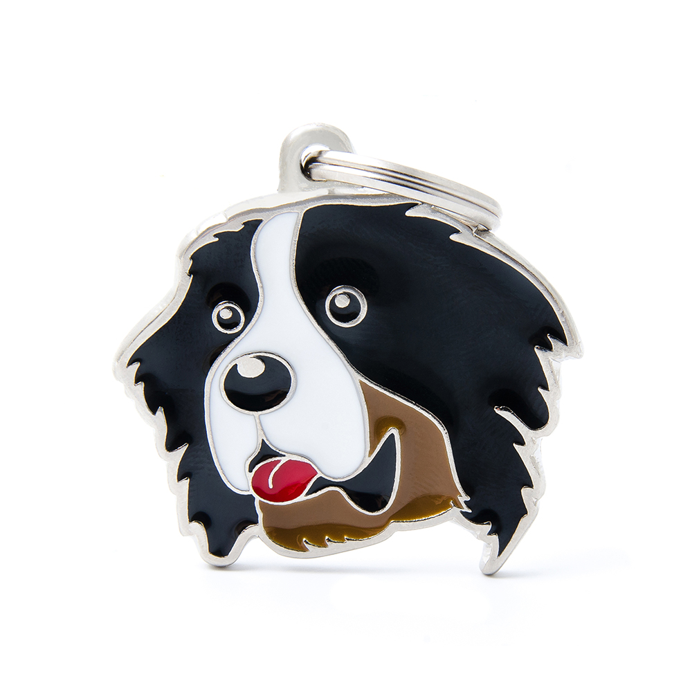 CHIEN DE MONTAGNE BERNOIS