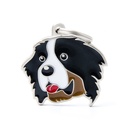 CHIEN DE MONTAGNE BERNOIS
