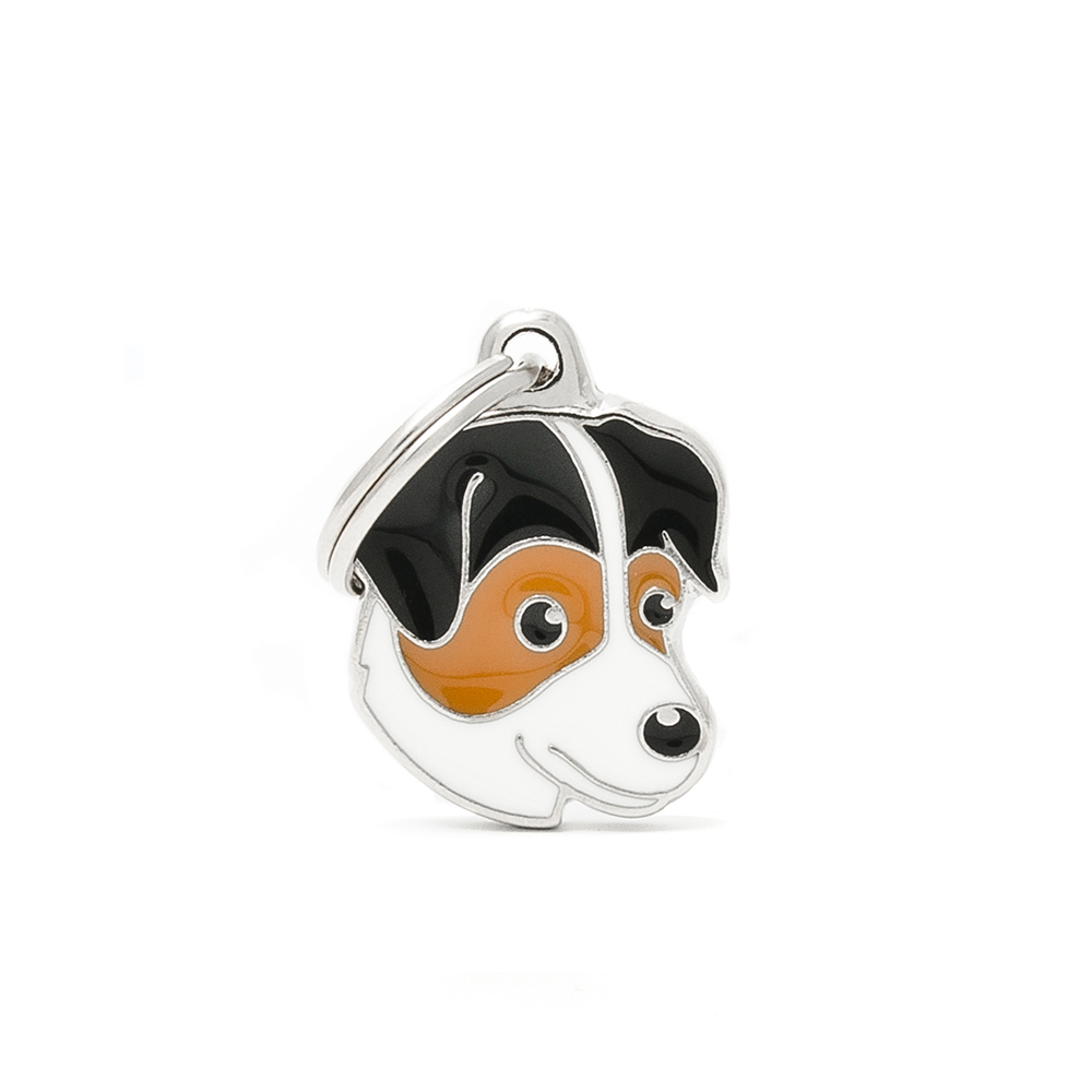 TRICOLOUR JACK RUSSEL