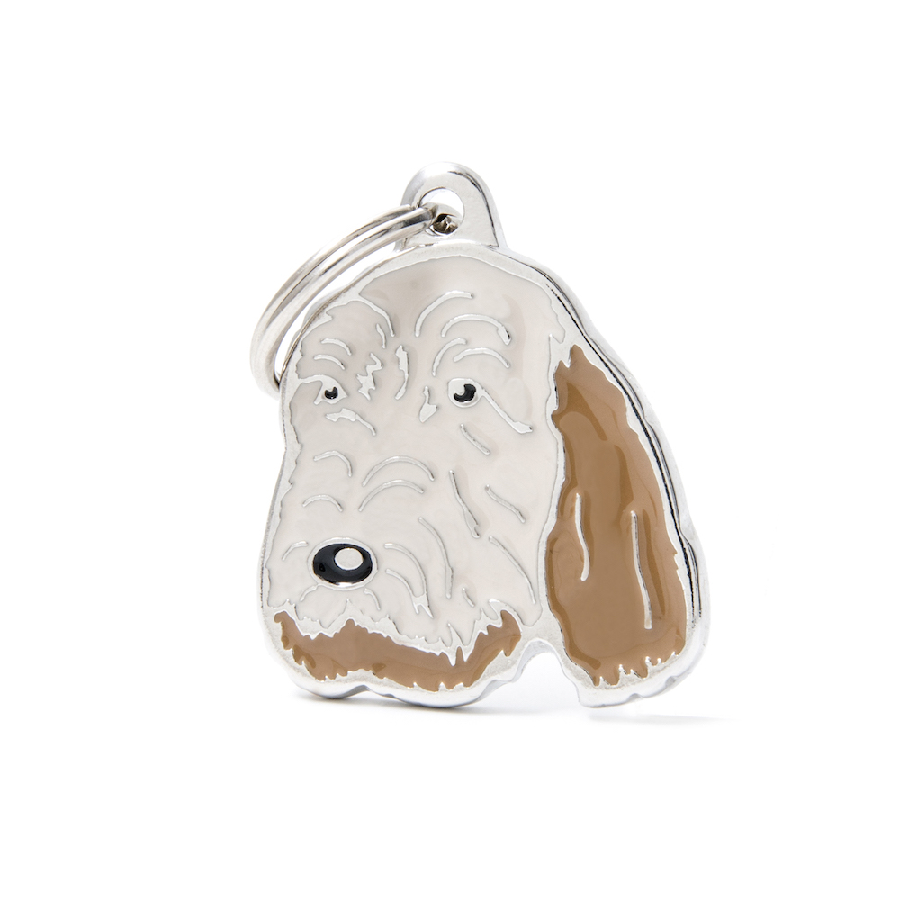 ITALIAN SPINONE