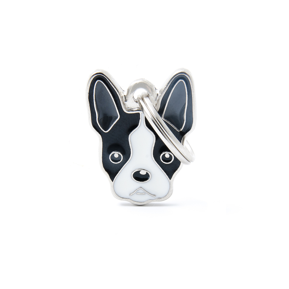 BOSTON TERRIER