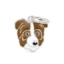 BROWN AUSTRALIAN SHEPERD