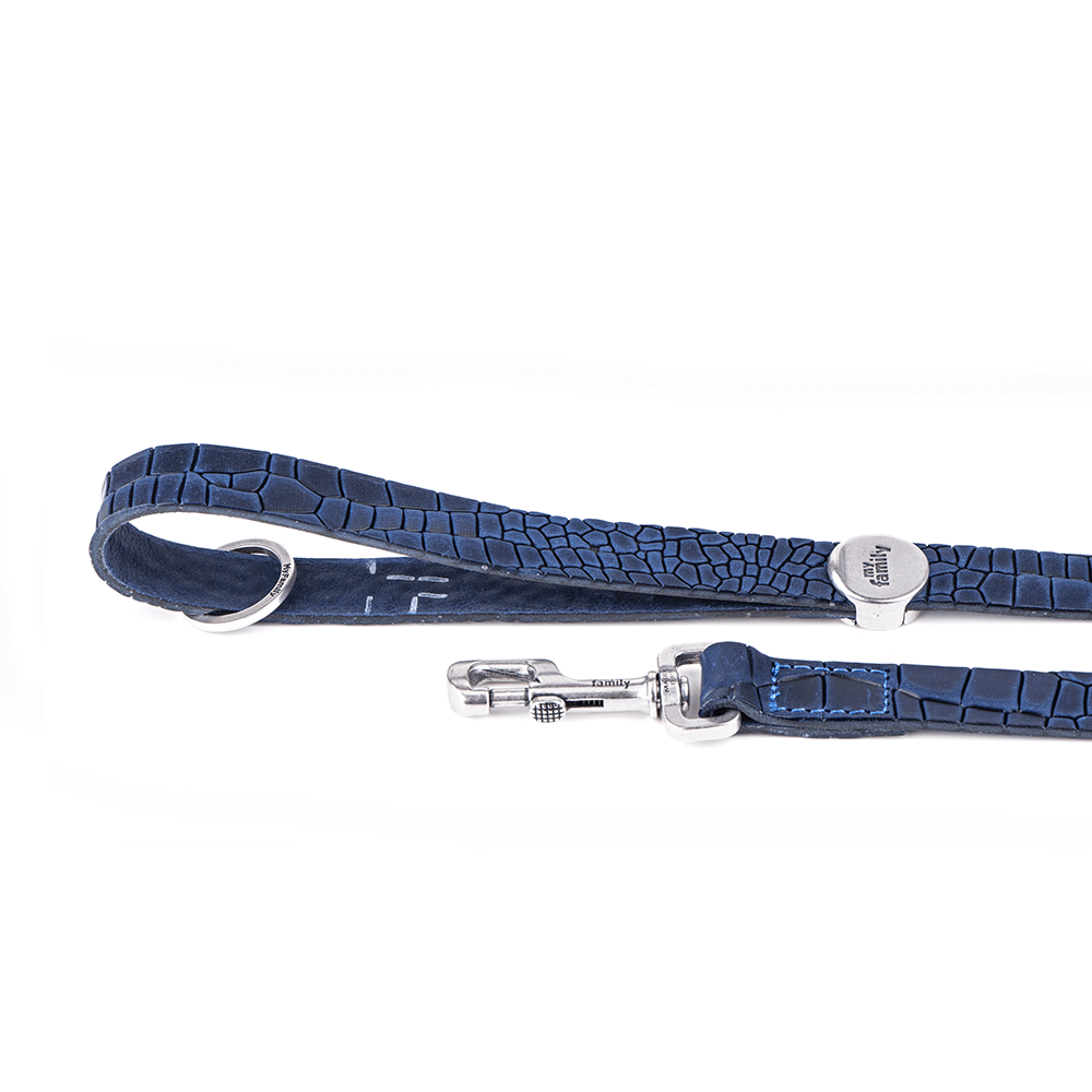 TUCSON LEASH