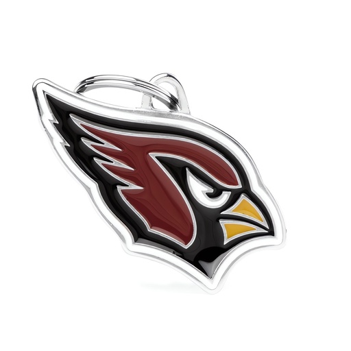 [NFLCARDINALS] ​ARIZONA CARDINALS