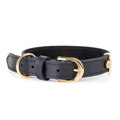 GINEVRA COLLAR