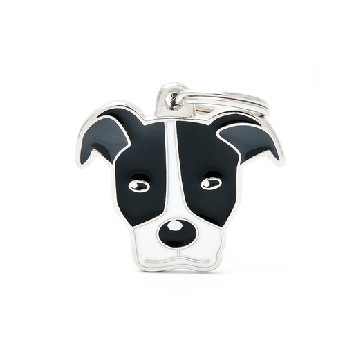 [MF06WHITEBLACK] PIT BULL AMÉRICAIN NOIR ET BLANC