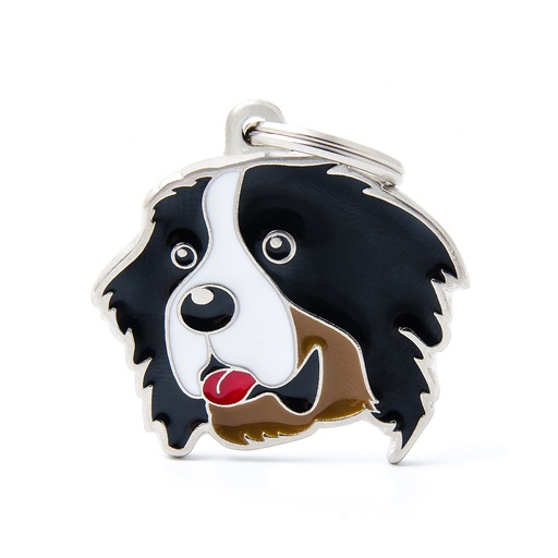 [MF09] CHIEN DE MONTAGNE BERNOIS