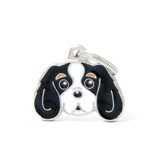 [MF22COLORED3] CAVALIER KING TRI-COLORE