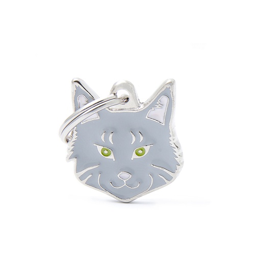 [MF39] MAINE COON TIGRÉ ARGENTÉ