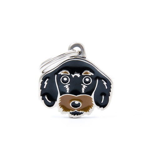 [MF71BLACK] BLACK AND TAN WIRE-HAIRED DACHSHUND 