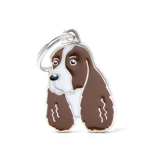 [MF87WHITEBROWN] SPRINGER SPANIEL FOIE ET BLANC